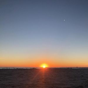 Meet your Posher, Anh